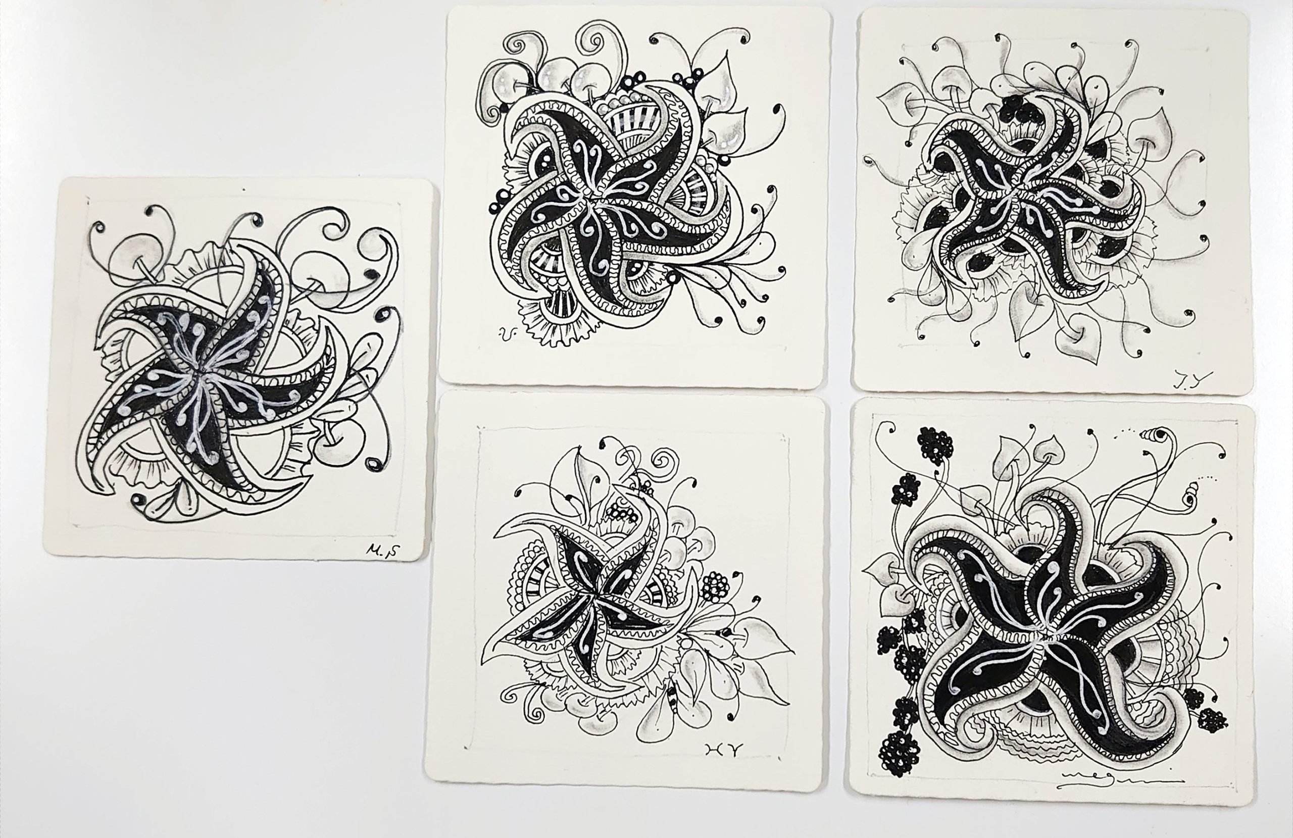 ゼンタングル　サンリブカルチャー府中店